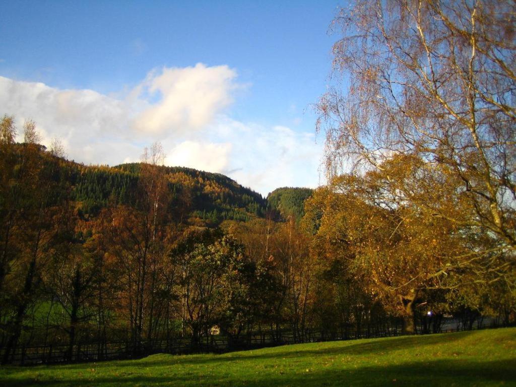 Llety Betws Hotel Luaran gambar